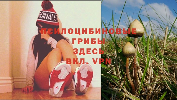 гидропоника Алексеевка