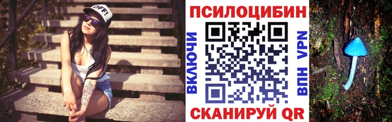 МЕГА маркетплейс  Берёзовский  Псилоцибиновые грибы Psilocybine cubensis 