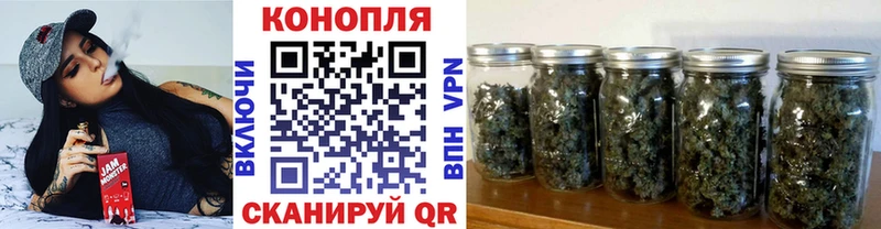 гидра ССЫЛКА  продажа наркотиков  Берёзовский  МАРИХУАНА ГИДРОПОН 